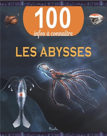 100 INFOS A CONNAITRE SUR LES ABYSSES - PICCOLIA