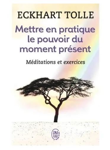 METTRE EN PRATIQUE LE POUVOIR DU MOME - J'AI LU