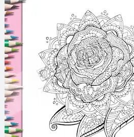 Mandala colouring book - rose